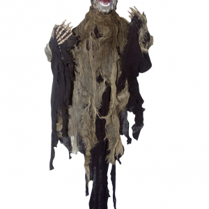 hanging sonic werewolf