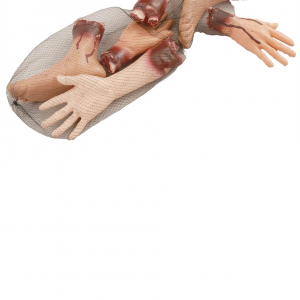 bag of body parts